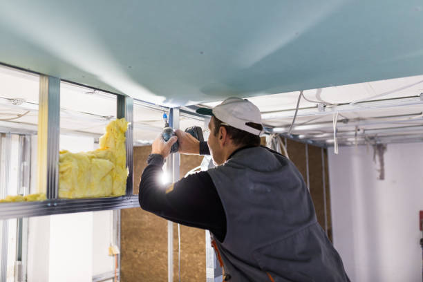Best Residential Insulation in East Lake, FL