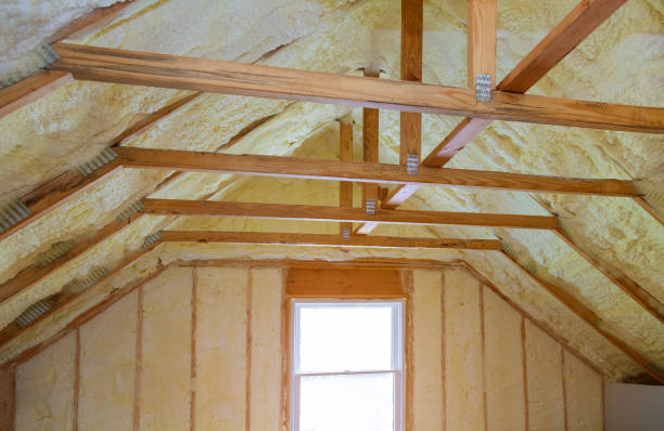 Best Types of Insulation in East Lake, FL