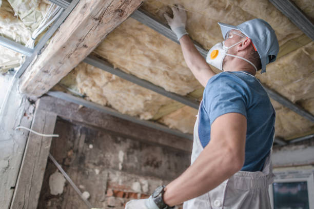 Best Insulation Installation Services in East Lake, FL